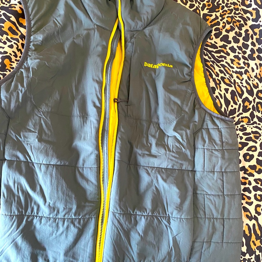 Patagonia vest!